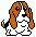 Florida Basset Hound Rescue